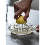 VeraGlobe Buğz Cam Limon Sıkacağı