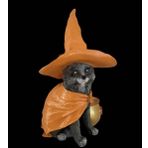 Veranın Fırçası CADI KEDİ