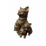 Veranın Fırçası YAVRULU KEDİ