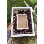 Verda Çerçeve 25X35 Cm Üçgen Fotoğraf Alanlı Model Tasarım Gül Kutusu Anı Çerçevesi! Yeni Model Çerçeve!