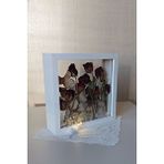 Verda Çerçeve Ledli 25x25 Cm Çift Yönlü Derin Gül Çerçevesi! Gelin Buketi Çerçevesi! Beyaz