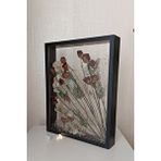 Verda Çerçeve Ledli 40x50 Cm Çift Yönlü Derin Gül Çerçevesi! Gelin Buketi Çerçevesi! Siyah