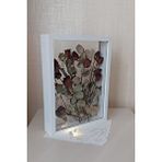 Verda Çerçeve Ledli Isimli 30x40 Cm Beyaz Çift Yönlü Anı Çerçevesi! Gül Kutusu Şeffaf Gül Kutusu Beyaz