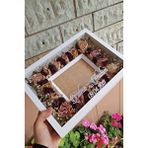 Verda Çerçeve Yeni Model 25x35 Cm Fotoğraf Alanlı Model Tasarım Gül Kutusu Anı Çerçevesi! Isimli Ledsiz Beyaz