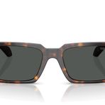 Versace 4490U 108 87 Erkek Güneş Gözlüğü