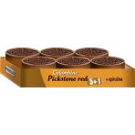 Versele Laga Col Pickstone Red Güvercin Mineral Desteği
