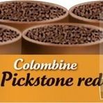 Versele Laga Colombıne Pickstone Red 5+1 6x600 gr Güvercin Mineral Desteği