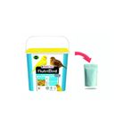 Versele Laga Nb Gold Crumble Canarıes kuru kanarya maması 250g