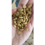 Versele Laga Nutribird P15 Original, Papağan Pelet Yemi 250gr (Deneme Paketi)