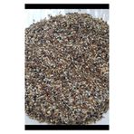 VerseleXLaga Kuşlarınız İçin 22 Çeşit Içeren Yabani Sağlık Tohumu X 250 gram