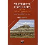 Vertebrate Fossil Beds In The Cappadocia Region Okşan Başoğlu