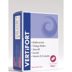 Vertifort Ginko Biloba 60 Tablet