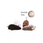 Vet Advice Kedi Kurmalı Fare Oyuncağı Gerçekçi Fare Gri
