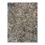 Vet Advice Papağan Muhabbet Kuşı Çekirdek Yemi 1 Kg