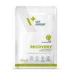 Vet Expert Recovery Cat Pouch 100 gr Kedi Yaş Mama