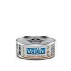 Vet Life Convalescence 85 gr Konserve Kedi Maması