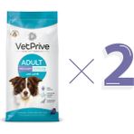Vet Prive 2x14 kg Kuzu Etli Orta ve Iri Irk Yetişkin Köpek Maması