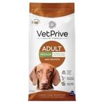 Vet Prive Somonlu Orta Irk 14 kg Yetişkin Köpek Maması