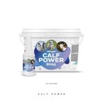 Vetasupra Calf Power Buzağı-kuzu Ve Oğlak Için Vitamin Katkılı Hayvan Yem Katkısı 500 Gr