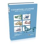 Veteriner Anatomi Konu Anlatımı ve Atlas - Kolektif