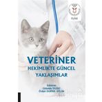Veteriner Hekimlikte Güncel Yaklaşımlar - Kolektif