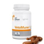 Vetexpert VetoMune 60 Kapsül Tablet