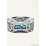 Vetlife Hepatic Kedi Konserve Maması 85GR ( 12 Adet )