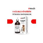 Vetorjin Kedi Ve Köpekler Için Sıvı Probiyotik Sindirim Sistemi Bağışıklık Ve Allerji Desteği 100 ml