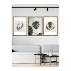 Vetro 21x30 cm Ceviz Design Monstera ve Deniz Kabukları