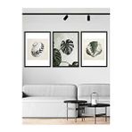 Vetro 21x30 cm Siyah Design Monstera ve Deniz Kabukları