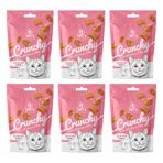 Vet's Plus Crunchy İçi Dolgulu Somonlu Catnipli 6x60 gr Kedi Ödül Bisküvisi