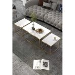 Vexor Orta Sehpa Ve Zigon Yan Sehpa Flora Set Gold Beyaz