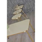 Vexor Zigon Sehpa Ve Orta Sehpa Kr Gold Metal Ayak Gold Krem Set