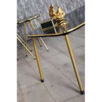 Vexor Zigon Sehpa Ve Orta Sehpa Kr Set Çift Gold Bendir Metal
