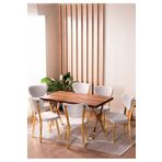 VIANEM Kütük Desenli MDF Gold Elma Mutfak Masa Takımı 6 Sandalyeli Salon Yemek Masa Takımı