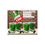 VİATOM Yeşillik Saklama Kabı 4 Ad 2900ML Maydonoz,dereotu,tere Roka Yeşillik Sebze Kabı Beyaz
