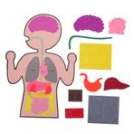 VICASKY 3 Takım İnsan Iç Organları Öğretim Yardımcıları Bilişsel Öğretim Yardımı Peluş Oyuncak Insan Vücudu Organları Oyuncak Bilişsel Oyuncak Yaratıcı Organ Modeli Mha Peluş Dokunmamış