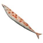 VICASKY Simüle Saury Yapay Et Sahne Yapay Balık Sahte Japon Yemek Modelleri Masa Dekorasyon Et Sahte Et Modeli Yapay Saury Modeli Saury Fotoğrafçılık Prop Pvc Çocuk Balık Tutma Sahte Balık