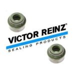 Victor Reinz 12-35172-02 Subap Lastiği Bmw M57 N57N E39 E46 E60 E63 E53 E70 E83 E89 11349071732