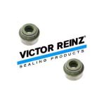 Victor Reinz 12 Reınz -35172-02 Subap Lastiği Bmw E46 330D 99-05 330Xd 00-03 Op