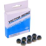 Victor Reinz Lada Samara - Vega - Kalina 8 Valf Subap Lastiği Takım 8 Li Uyumlu