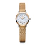 Victorinox Swiss Army 241879 Alliance Kadın Kol Saati