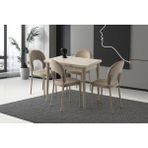 Viento Mobilya Arda Sidon Desen Yanlardan Açılır 90X60 Masa 4 Adet Babyface Metal Ay Sandalye Masa Takımı - 90 X 60
