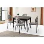 Viento Mobilya Gonca Kaşıklıklı Retro Gümüş Açılır 100X65 Masa 4 Adet Babyface Metal Suna Sandalye Masa Takımı - Retro Taşı Rengi - 100 X 65