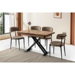 Viento Mobilya Silva Diş Budak Desen Açılır 120X70 Masa 4 Adet Bukle Kumaş Metal Gözde Sandalye Masa Takımı - Dışbudak - 120 x 70