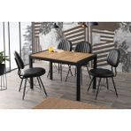 Viento Mobilya Tuğra Diş Budak Desen Ayaktan Açılır 120X75 Masa 6 Adet Suni Deri Metal Ahtapot Sandalye Masa Takımı - Dışbudak - 120 X 75