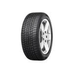 Viking 205/65 R16C 107/105R Wintech Van Kış Lastiği