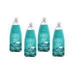 Viking Fesleğen Tatlı Limon Premium Sıvı Bulaşık Deterjanı 4 adet - 750 ml