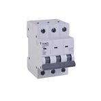Viko 4VTB-3C06 Otomatik Sigorta 4,5kA C Tipi 3 Kutup 06A