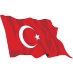 Vileda Koşan Türk Bayrağı